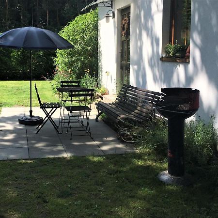 Apartman U Pamatneho Stromu Διαμέρισμα Česká Lípa Εξωτερικό φωτογραφία