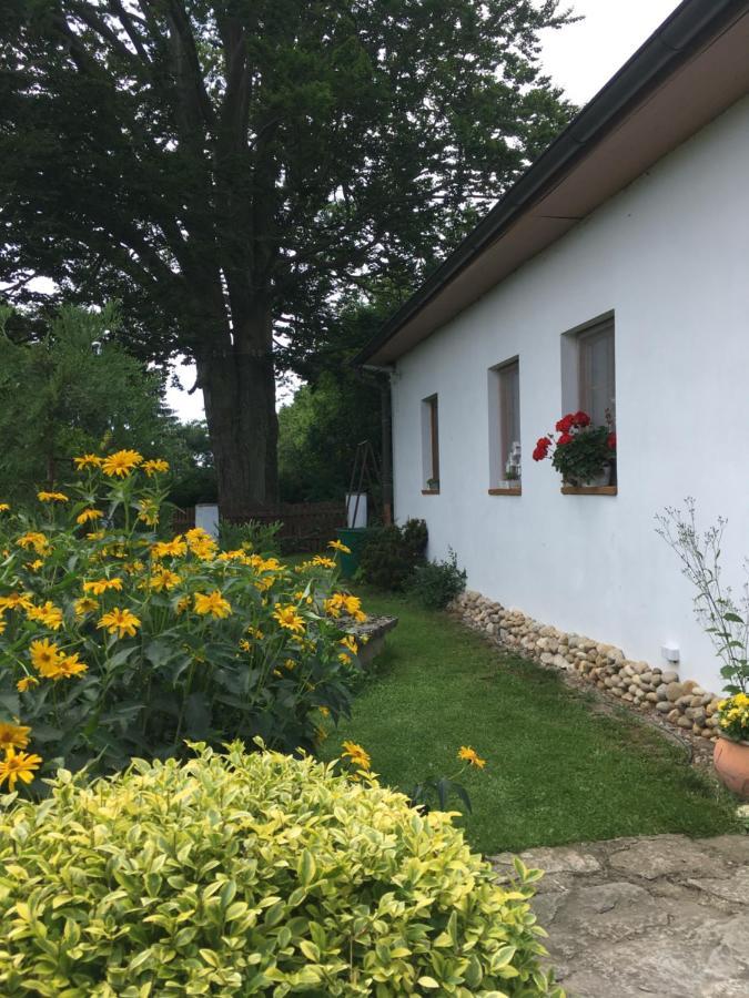 Apartman U Pamatneho Stromu Διαμέρισμα Česká Lípa Εξωτερικό φωτογραφία