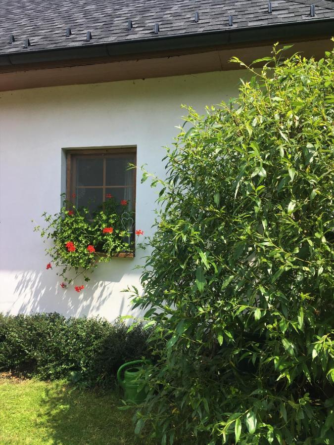 Apartman U Pamatneho Stromu Διαμέρισμα Česká Lípa Εξωτερικό φωτογραφία